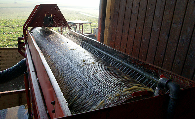 Die Kürbiskernwaschmaschine