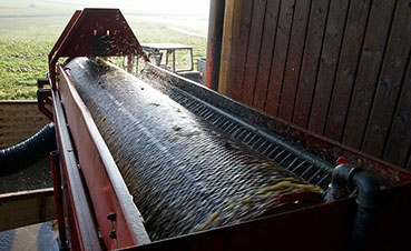 Die Kürbiskernwaschmaschine