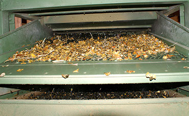 Die Schalenreste werden getrockneten Kerne separiert (gereinigt)